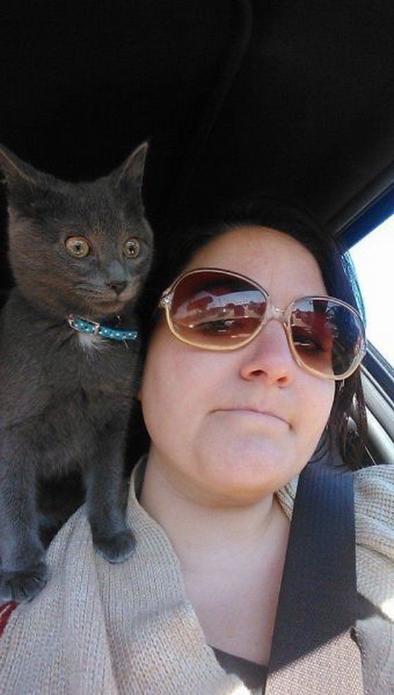 funny-pictures-632