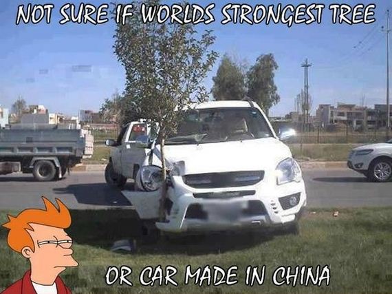 funny-pictures-633