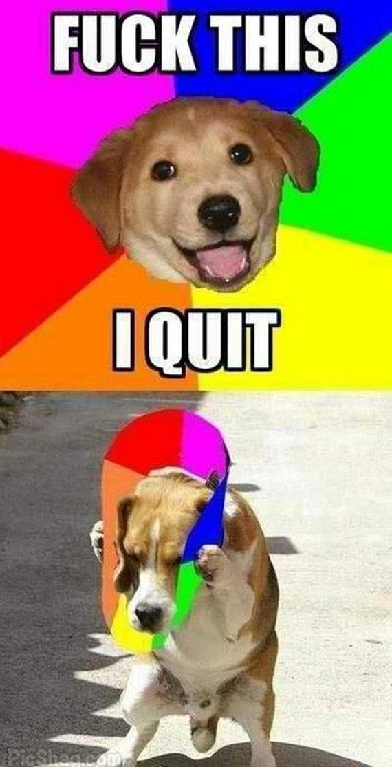 funny-pictures-633