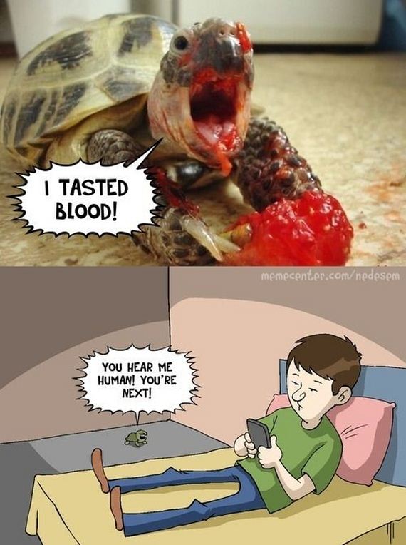 funny-pictures-633