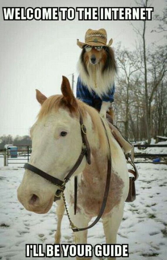 funny-pictures-633
