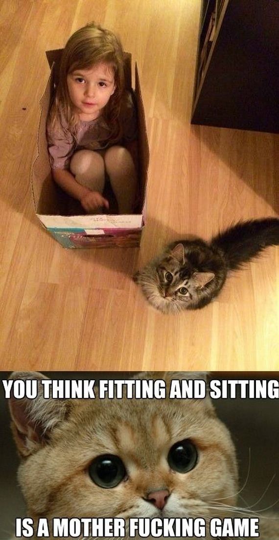 funny-pictures-633