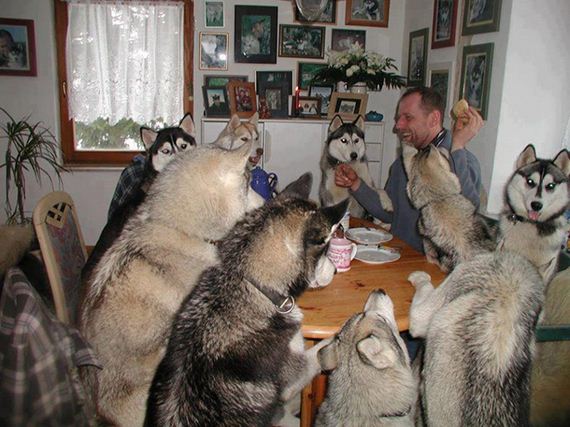 funny-pictures-634