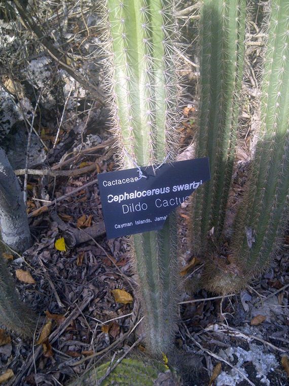 funny-pictures-634