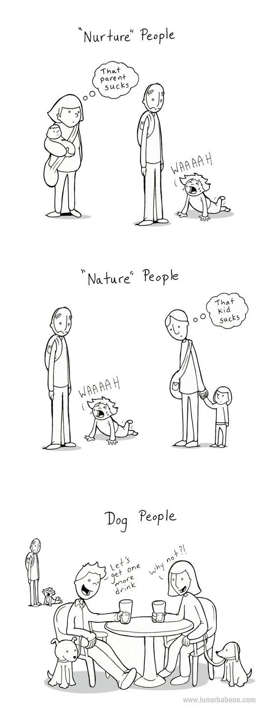 funny-pictures-634