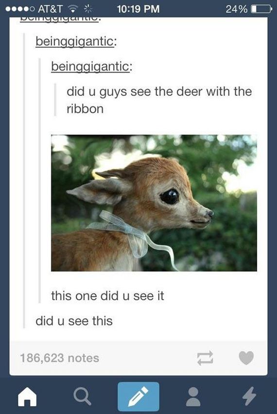 funny-pictures-634