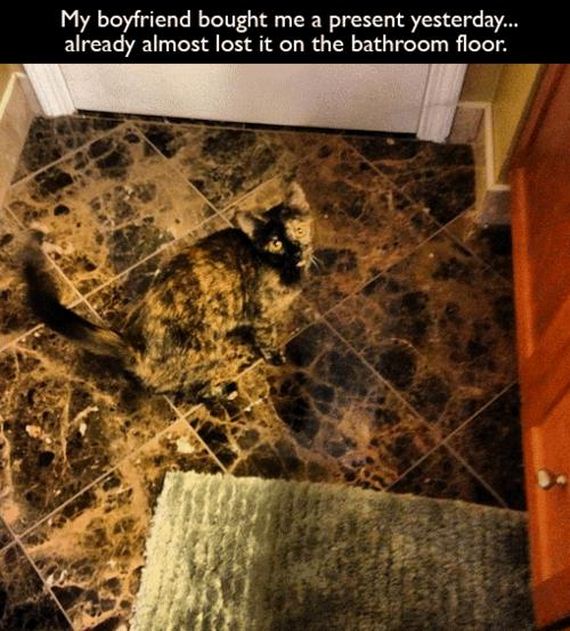 funny-pictures-634
