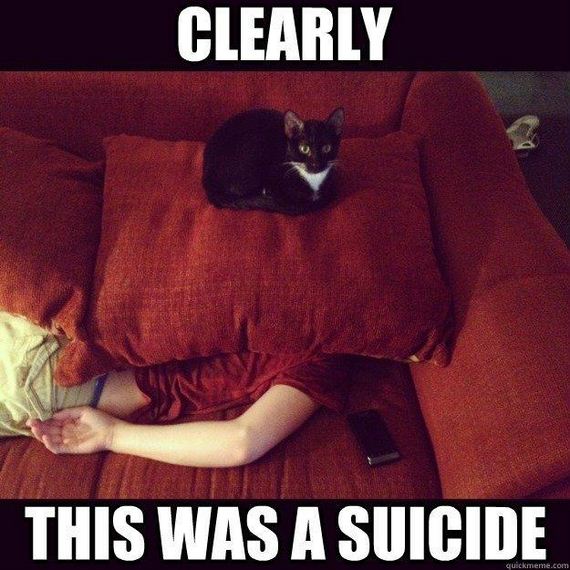 funny-pictures-634