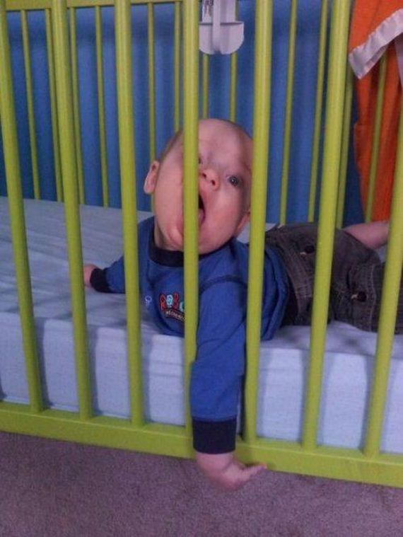 funny-pictures-634