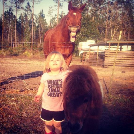 funny-pictures-635