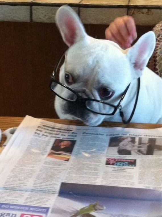 funny-pictures-635