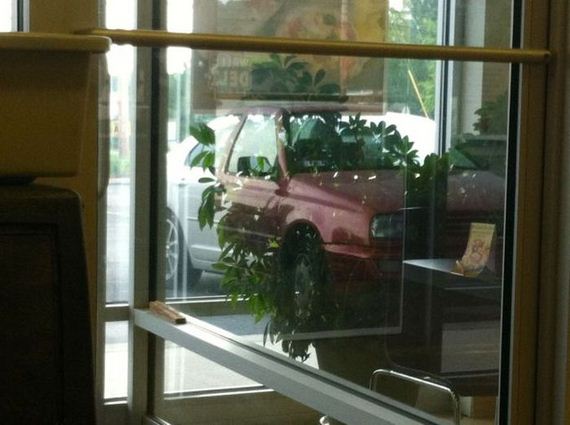 funny-pictures-635