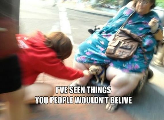 funny-pictures-635