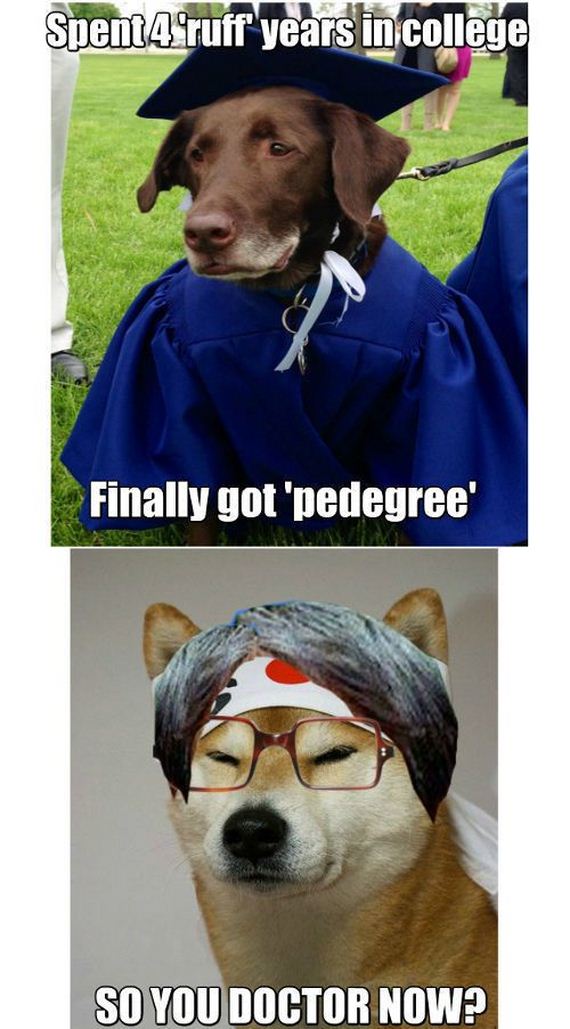funny-pictures-635
