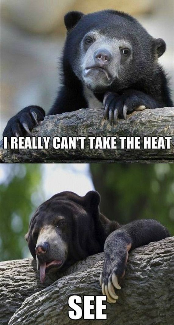 funny-pictures-635