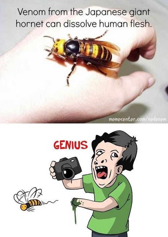 funny-pictures-635