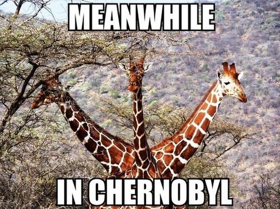 funny-pictures-635