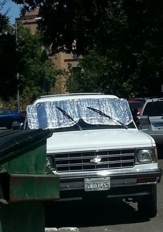 funny-pictures-635