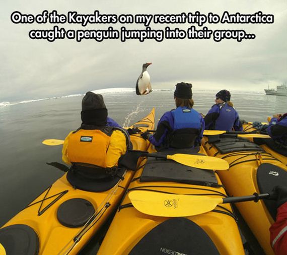 funny-pictures-636