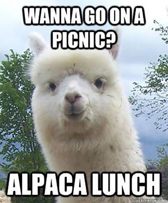 funny-pictures-636