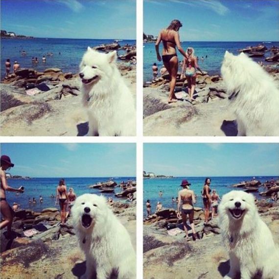 funny-pictures-636