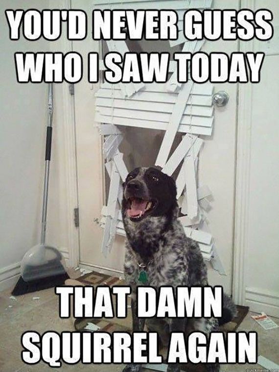 funny-pictures-636