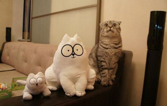 funny-pictures-637