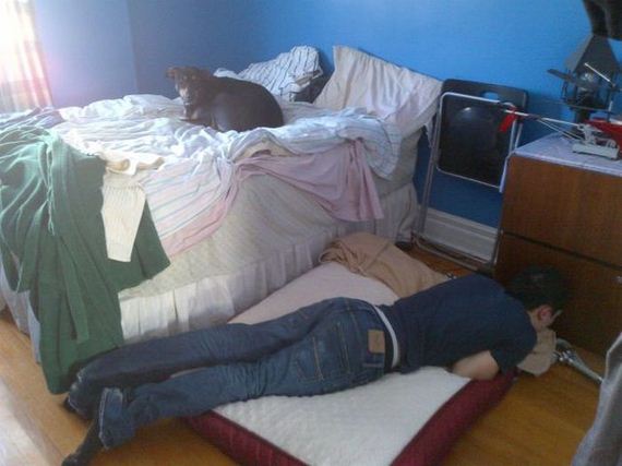 funny-pictures-637