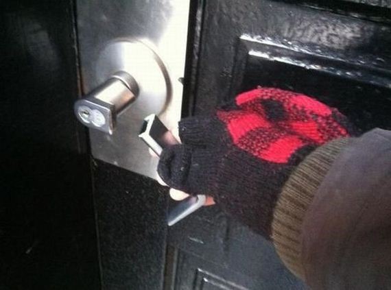funny-pictures-637
