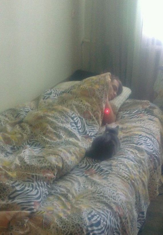 funny-pictures-637
