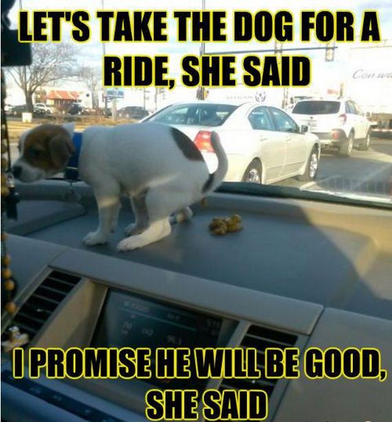 funny-pictures-637