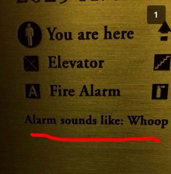 funny-pictures-637