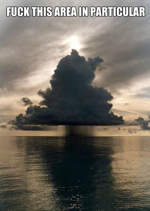 funny-pictures-639