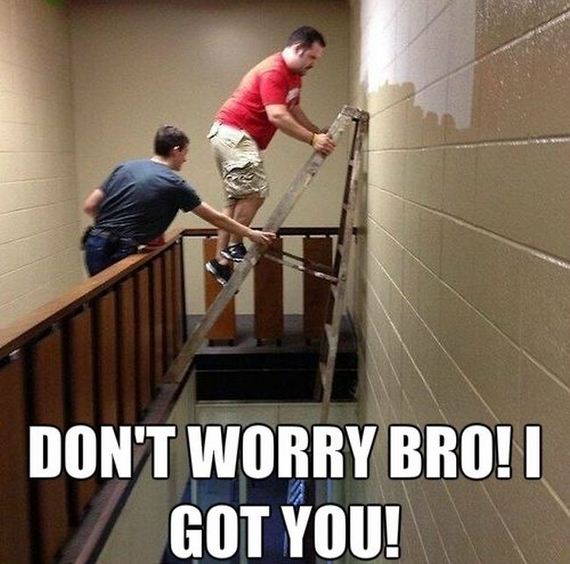 funny-pictures-639