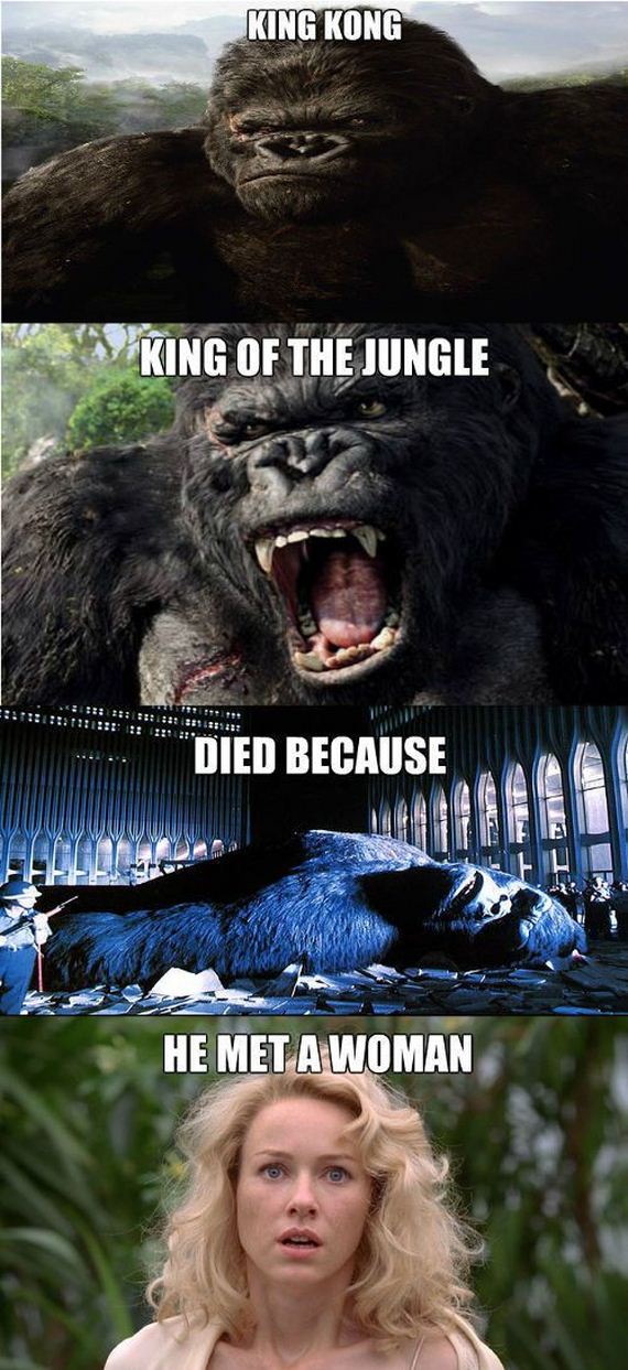 funny-pictures-639