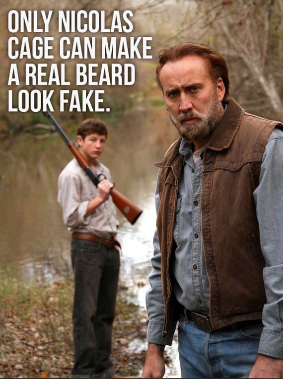 funny-pictures-639