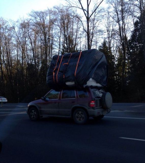 funny-pictures-639