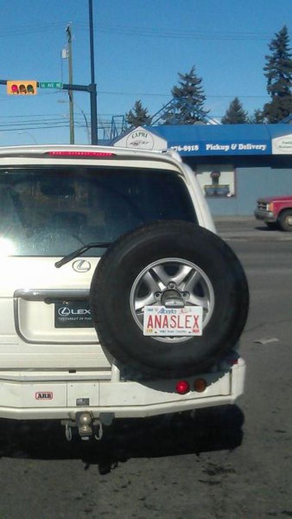 funny-pictures-639