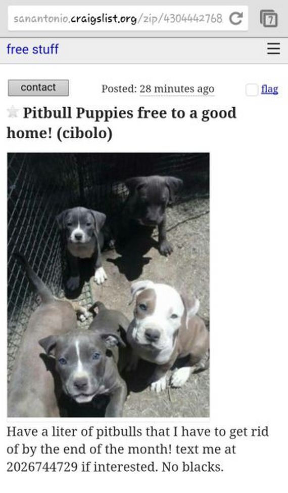 funny-pictures-639