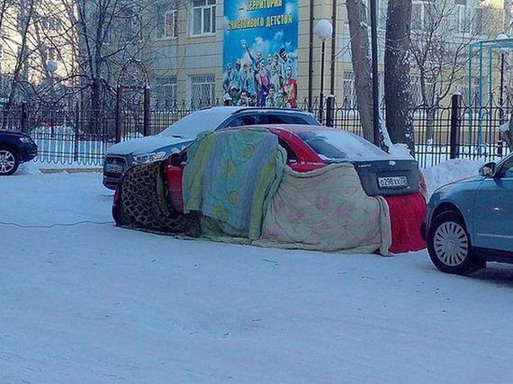 funny-pictures-643