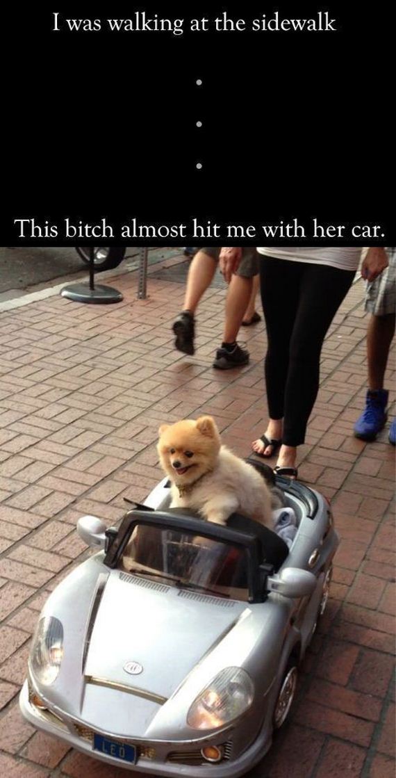 funny-pictures-643