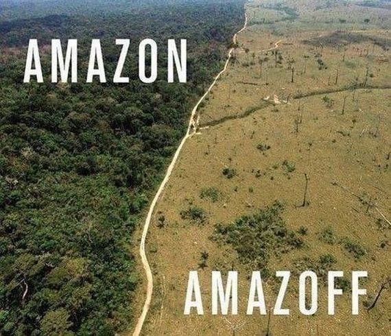 funny-pictures-643