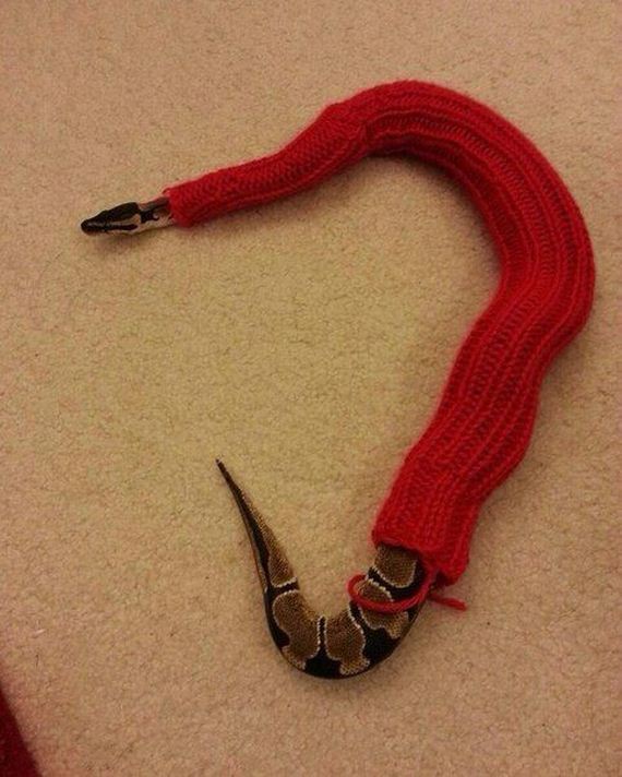 funny-pictures-643