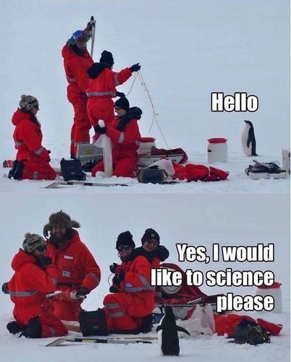 funny-pictures-643