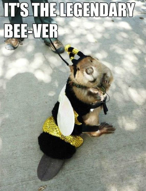 funny-pictures-643