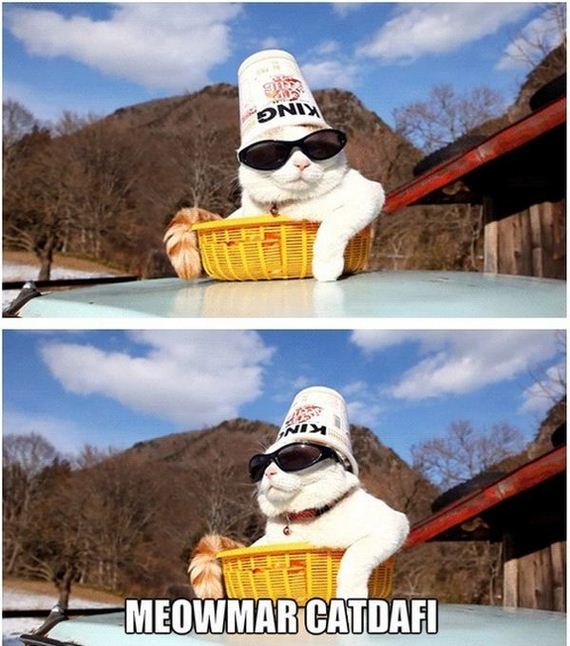 funny-pictures-645