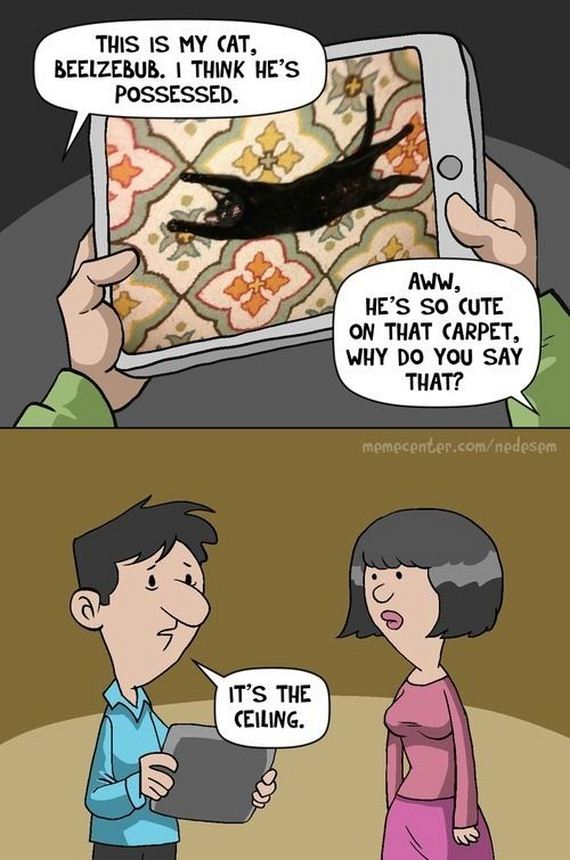 funny-pictures-645