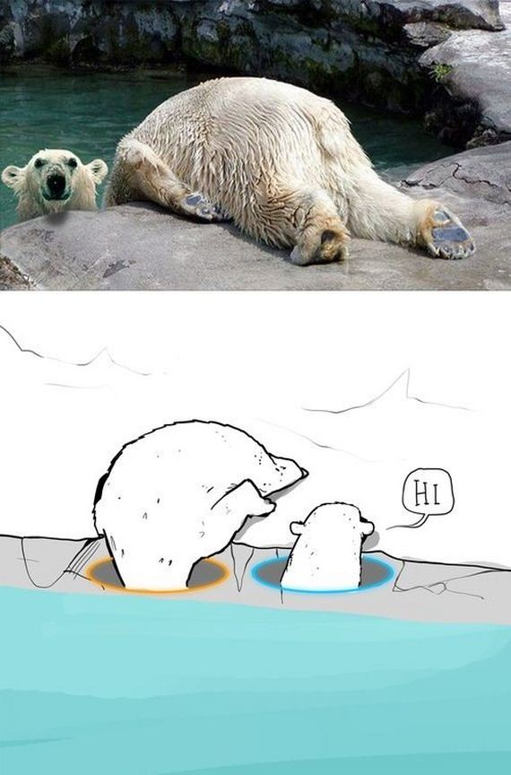 funny-pictures-645