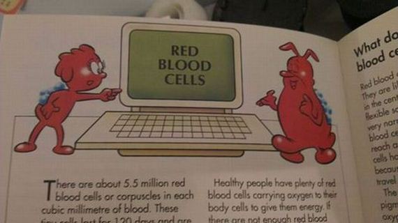 funny-pictures-646