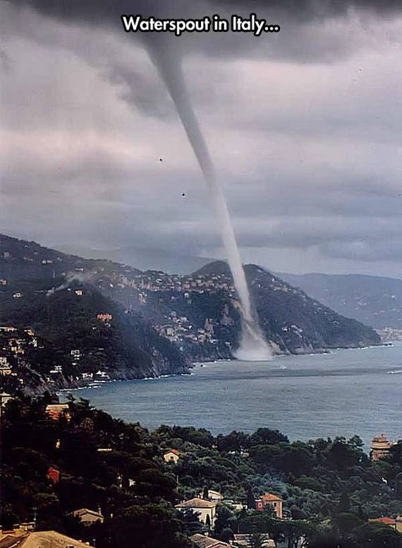 funny-pictures-646